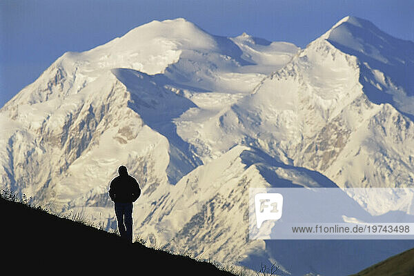 Hiker silhouetted against snow-covered Mount McKinley in Denali National Park and Preserve  Alaska  USA; Alaska  United States of America
