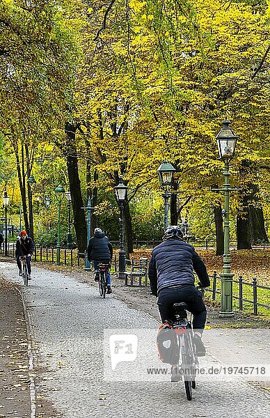 Radfahrer und Fußgänger im Berliner Tiergarten  Berlin  Deutschland  Europa