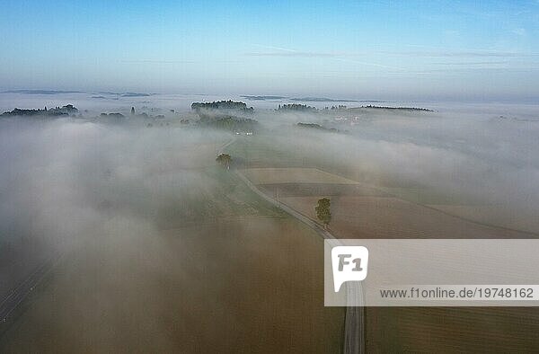 Drohnenansicht einer in dichten Morgennebel gehüllten ländlichen Landschaft mit Landstraße bei Prambachkirchen  Hausruckviertel  Oberösterreich  Österreich  Europa