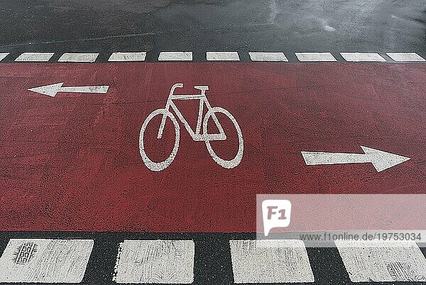 Rot markierter Fahrradweg auf einer Kreisstrasse  Erlangen  Mittelfranken  Bayern  Deutschland  Europa
