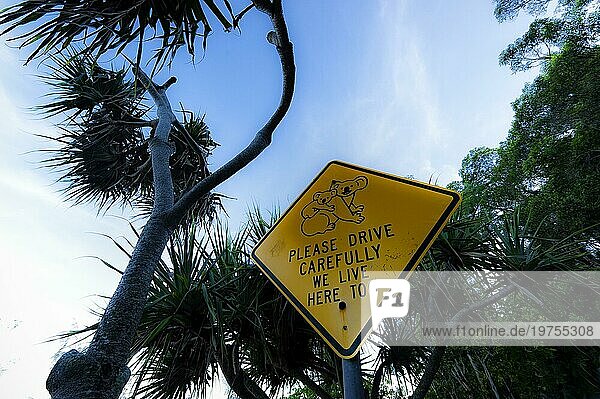 Koala-Warnschild  Warnung  Vorsicht  Tiere  Achtung  Zeichen  Verkehr  Verkehrsschild in Australien