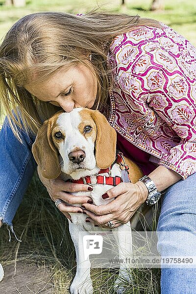 Blonde erwachsene Frau  die ihren Beagle Hund küsst  während er im Park in die Kamera schaut