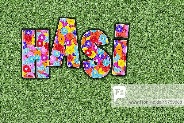 Hasi  Kosewort für den Ehepartner  Partner  Kosenamen ausgeschrieben  farbenfroh  viele Blumen  sommerlich  Grafikdesign  Illustration  Hintergrund grün