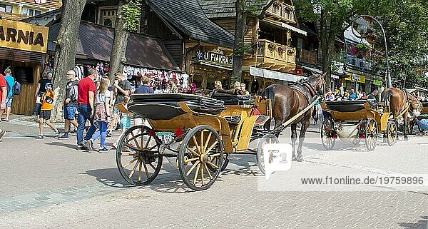 Zakopane  Polen  6. August 2019: Pferdekutsche  die im Sommer auf der Krupowki Straße in Zakopane auf Touristen wartet. Gespannte Pferde. Touristenattraktion  Europa