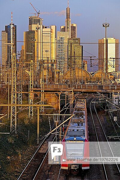 Erhöhte Stadtansicht im Abendlicht mit Nahverkehrszug  Hauptbahnhof und Hochhäusern  Frankfurt am Main  Hessen  Deutschland  Europa