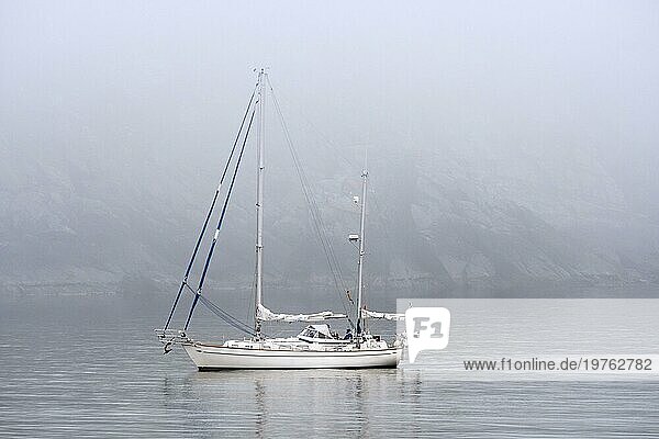Segelboot  Segelschiff  Yacht mit gesenkten Segeln auf See bei schlechter Sicht durch dicken Nebel  dichten Dunst