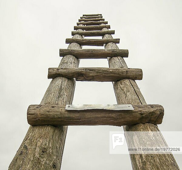 Alte Holzleiter auf der Wiese  die hoch in den Himmel führt  Leiter zum Himmel. Symbol der Karriere
