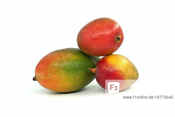 Drei reife mehrfarbige Mangofrüchte vor einem weißen Hintergrund
