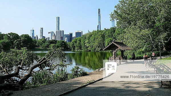 New York City cityscape viewed from The Lake  Central Park's largest body of water after the Reservoir  Central Park  Manhattan  New York City  United States of America  North America