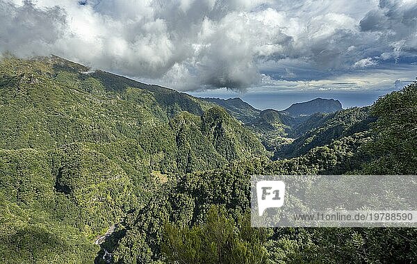 Dicht bewachsene steile Berge  grüne Berglandschaft  Ausblick vom Miradouro dos Balcões  Bergtal Ribeira da Metade  Madeira  Portugal  Europa
