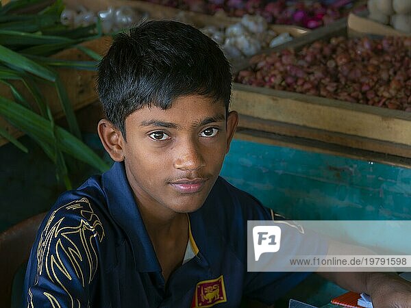 Singhalesischer Junge  asiatische Augen  Porträt  Sri Lanka  Asien