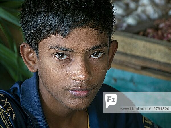 Singhalesischer Junge  asiatische Augen  Porträt  Sri Lanka  Asien