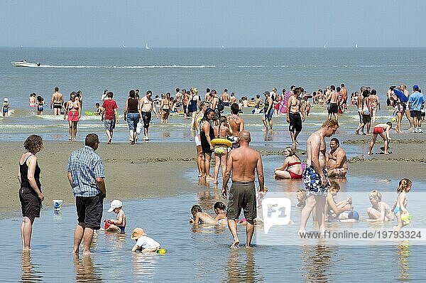 Touristen in Badeanzügen am Strand  die in der Nordsee paddeln  und Kinder  die an einem heißen Tag in den Sommerferien im Wasser spielen