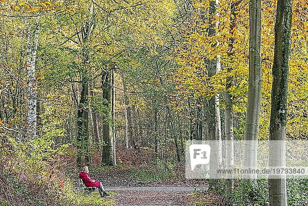 Einsame Frau ruht auf einer Parkbank und genießt die Natur auf einem Waldweg im Herbstwald