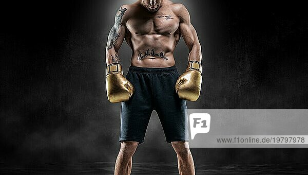 Professionelle Thaiboxer steht in voller Kampfausrüstung. Muay Thai  Kickboxen  Kampfsport Konzept.