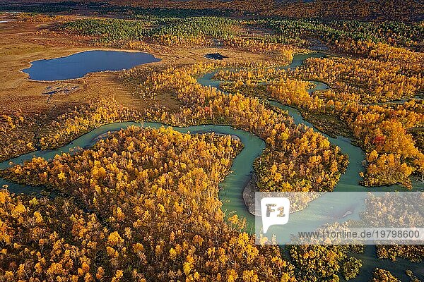Drohnenbild  Ausblick auf das Tal Ladtjovagge und den Fluss Ladtjojakka  Mäander  Seen  dichter Birkenwald  Moore  extrem verfärbt  Herbststimmung  bei Nikkaluokta  Norrbottens län  Nord-Schweden  Schweden  Europa