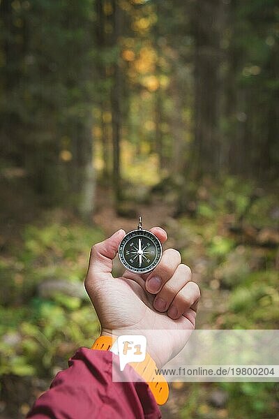 Eine schöne männliche Hand mit einem gelben Uhrenarmband hält einen magnetischen Kompass in einem herbstlichen Nadelwald. Das Konzept  selbst den Weg und die Wahrheit zu finden