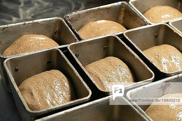 Ungekochtes Brot in Form von Teig wird vor dem Backen in Brotdosen gelegt. Craft Brot. Kravtovoe Herstellung von gesundem und gesundes Brot. Blick von oben