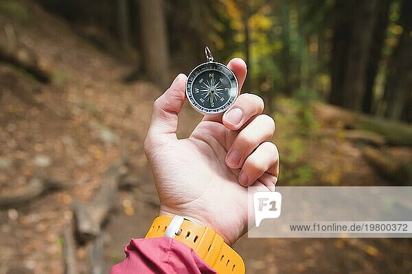 Eine schöne männliche Hand mit einem gelben Uhrenarmband hält einen magnetischen Kompass in einem herbstlichen Nadelwald. Das Konzept  selbst den Weg und die Wahrheit zu finden