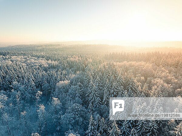 Warmes Sonnenlicht scheint auf einen dichten  schneebedeckten Wald  Dobel  Luftbild  Schwarzwald  Deutschland  Europa