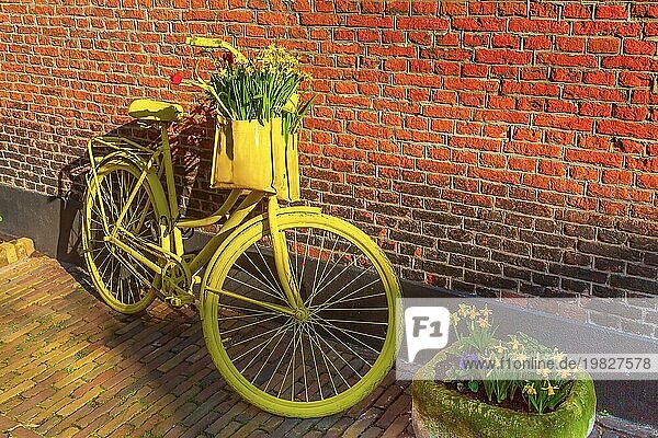 Vintage vibrierenden gelben Fahrrad mit Korb von Narzissen Blumen auf alten rustikalen Backsteinmauer Hintergrund