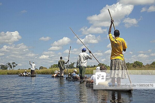 Touristen  die in traditionellen Holzkanus  Mokoro  Makoro  im Okavangodelta Botswana  unterwegs sind