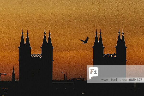Vögel zeichnen sich ab in der Abenddämmerung vor der Silhouette der Friedrichswerderschen Kirche in Berlin  04.09.2023