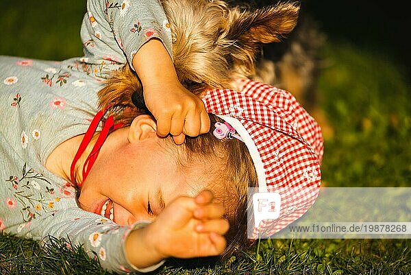 Porträt eines schönen kleinen 2 Jahre altes Mädchen liegt auf Gras und lacht mit York Terrier versucht  ihr Gesicht zu lecken. Haustiere mit Kindern Konzept