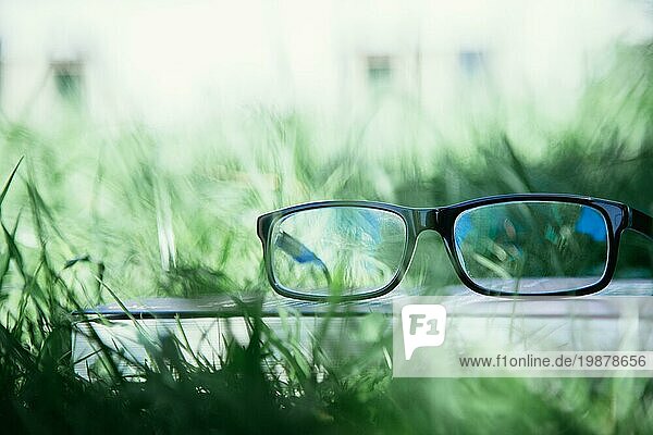 Schwarze Brille und Buch draußen im Park  Sommerzeit