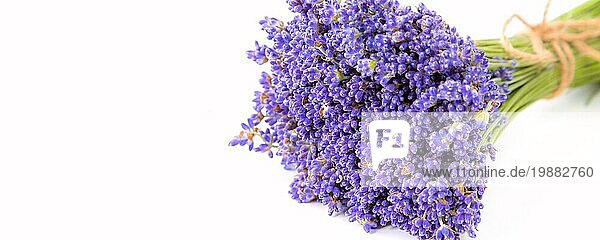 Strauß Lavendelblüten  frischer Lavendel  Kopierraumbanner