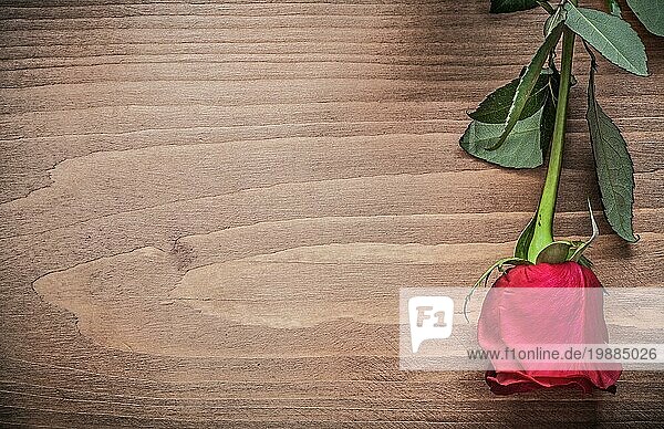 Natürliche aromatische Rose auf Holzbrett Urlaub Konzept