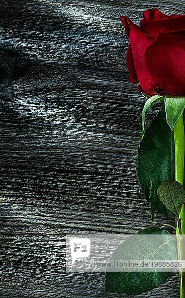 Aromatische rote Rose auf Holzbrett