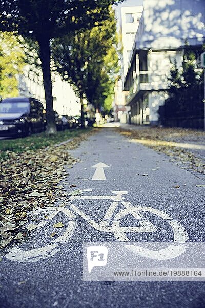 Städtischer Radweg  Herbst mit Blättern auf dem Boden