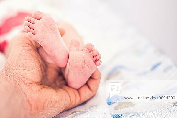 Kleiner neugeborener rosa Fuß von Vaterhand gehalten. Kopierbereich rechts Selectuve Fokus auf Zehen