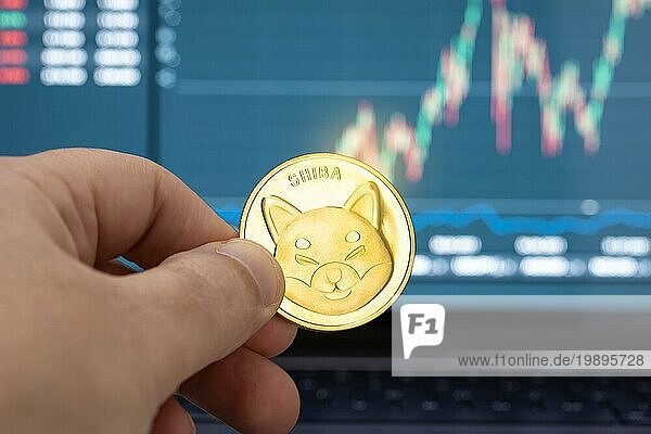 Hand hält eine Shiba Münze und Chart auf Laptop Display im Hintergrund. Cryptocurrency Handel oder Investitionen Konzept