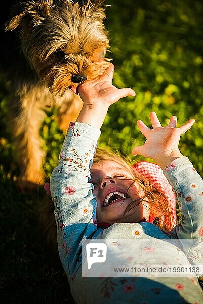 Porträt eines schönen kleinen 2 Jahre altes Mädchen liegt auf Gras und lacht mit York Terrier versucht  ihr Gesicht zu lecken. Haustiere mit Kindern Konzept