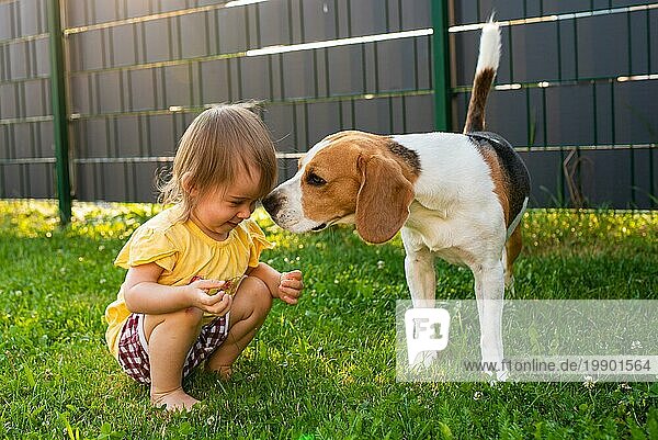 Baby Mädchen zusammen mit Beagle Hund im Garten im Sommer Tag. Haustier mit Kindern Konzept