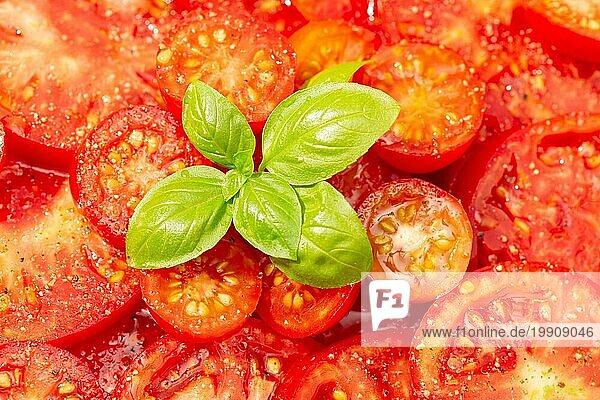 Nahaufnahme eines leckeren Tomatensalats mit Basilikumblättern. Mediterranes Essen