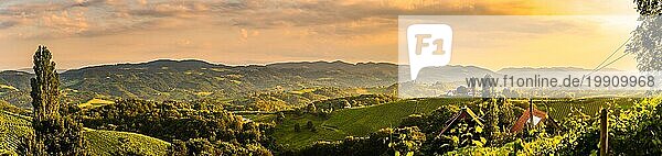 Südsteirische Weinbergslandschaft in Sulz Österreich. Blick auf Weinfelder in der Abendsonne im Sommer. Touristisches Ziel