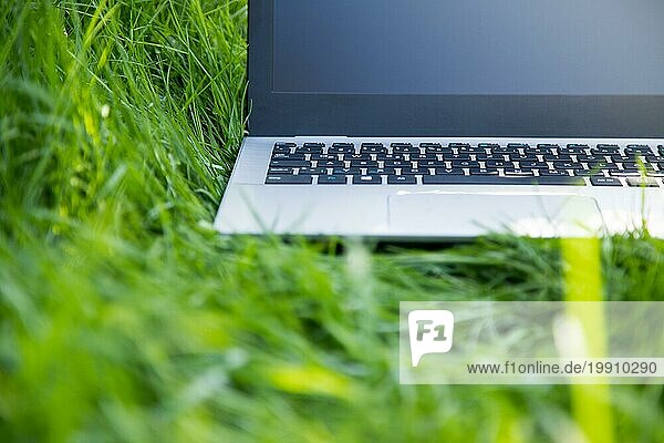 Nahaufnahme eines Laptops  der im grünen Gras liegt und im Freien im Park lernt