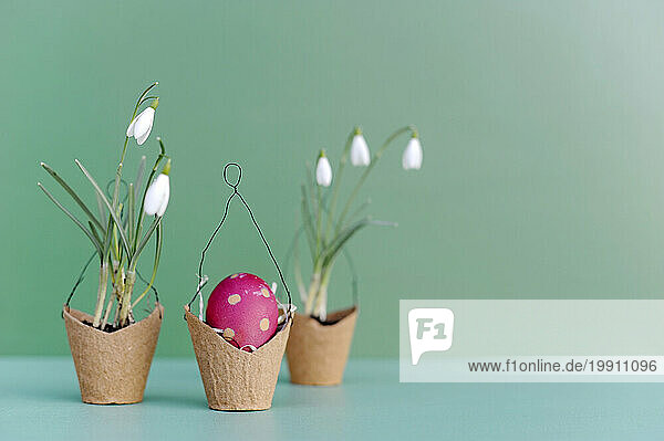 Studio shot of small baskets with blooming snowdrops and Easter egg