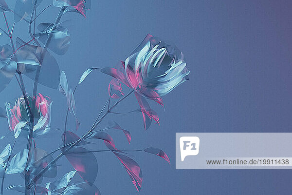 3D render of glass blooming roses against blue background