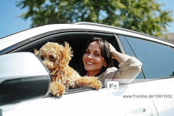 Happy woman leaning out of window with poodle dog in car