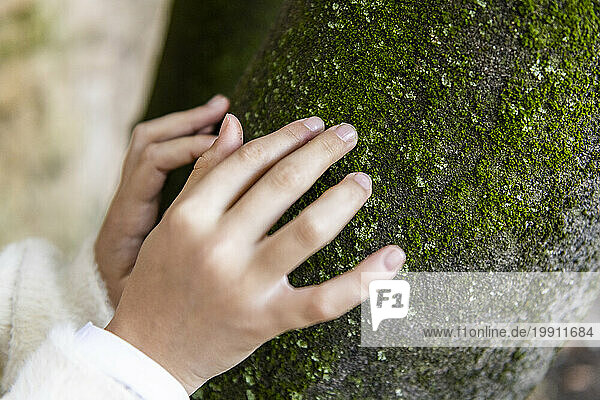 Hands of girl touching tree trunk