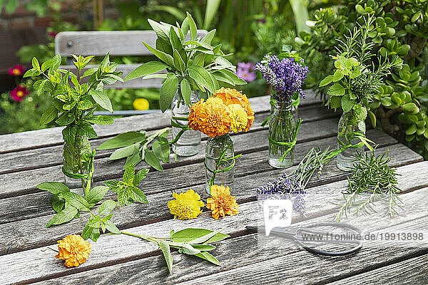 Herbs and edible flowers cultivated in balcony garden