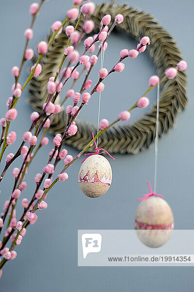 Easter eggs hanging from pink pussy willow branches