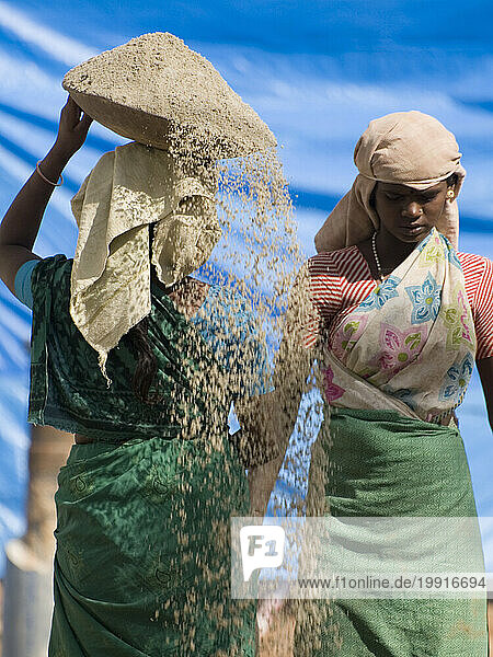 Female workers on a construction site carry cement in steel bowls  on their heads in Bangalore  Karnataka  India