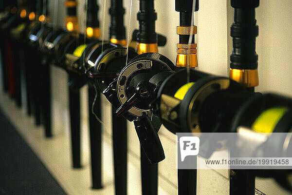 Salt water rods and reels line the wall inside the fishing equipment room  on Midway Atoll, Hawaii.