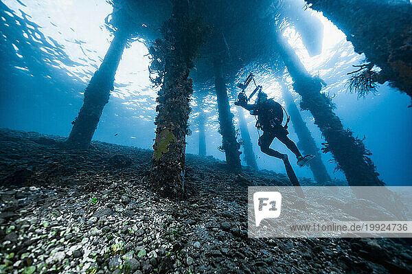 underwater photographer exploring jetty in Alor