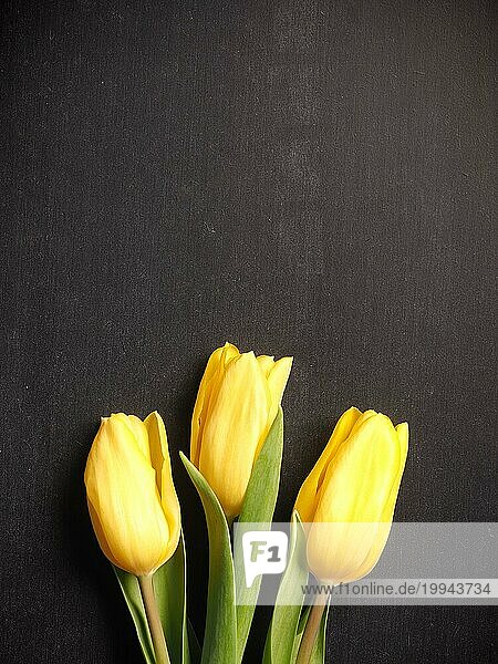 Valentinstag oder Ostern Frühling Konzept Hintergrund mit drei Tulpen auf einer Kreidetafel